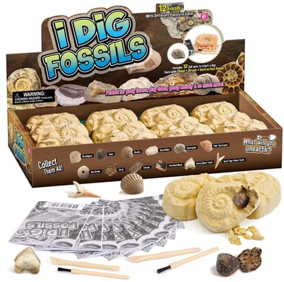 Inovra- Fossielen Opgravingsset - 12 Echte Fossielen - Archeologie Speelgoed - Opgravingsset voor Kinderen - Feestcadeaus - Inclusief Penselen/Beitels - Opgravingskit