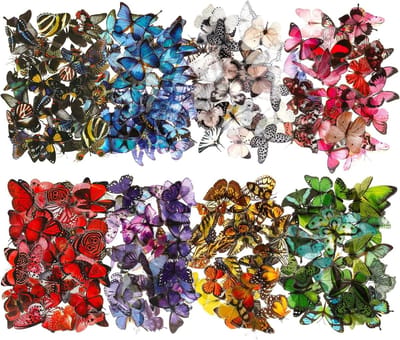 240 Stuks Kleurige Vlinders Scrapbooking Stickers, Waterdichte PET Stickers voor DIY Decoratie, Fotoalbums, Laptop en Wanddecoratie