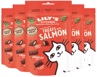 Lily's Kitchen Kattensnack Zalm - 5 x 60 gr - Voordeelverpakking