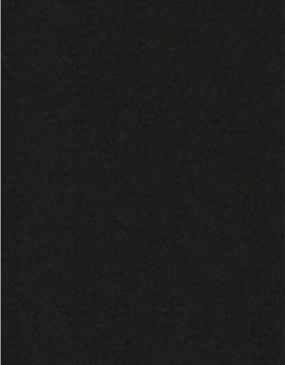 Papicolor Papier A4 | ravenzwart | 105 grams | 12 vel (300901)