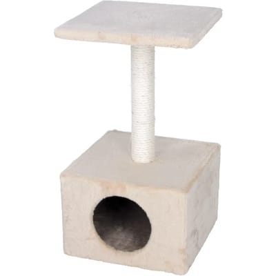 Kattenboom Kerbl Amethyst