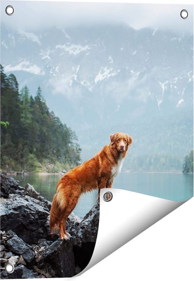 Gards Tuinposter Retriever Hond bij het Water in de Bergen - 40x50 cm - Tuindoek - Tuindecoratie - Wanddecoratie buiten - Tuinschilderij