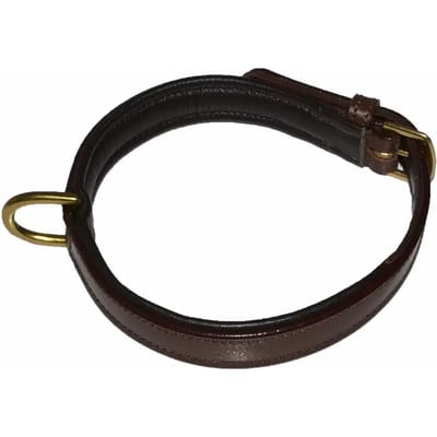 Hondenhalsband Hekktor Bor