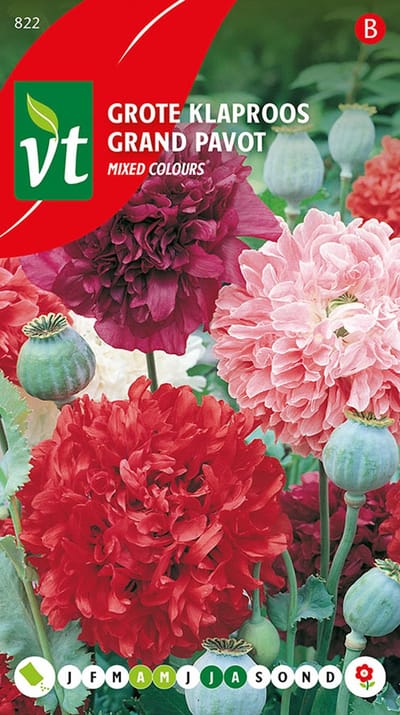 Papaver Mixed Colours Zaden - Klaproos National Mix met Grote, Kleurrijke Bloemen
