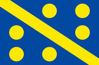 Vlag Assesse 100x150cm