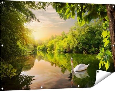 Gards Tuinposter Zwaan op het Water in het Bos - 120x80 cm - Tuindoek - Tuindecoratie - Wanddecoratie buiten - Tuinschilderij