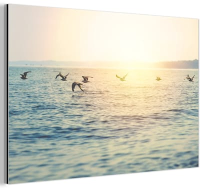 Aluminium schilderij 180x120 cm - Wanddecoratie metaal - Zee - Meeuw - Zon - Metalen muurdecoratie woonkamer - Decoratie industrieel - Foto op dibond - Industriële accessoires slaapkamer