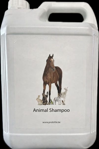 Probiotische dieren shampoo- paarden shampoo voor een zuivere vacht en haar