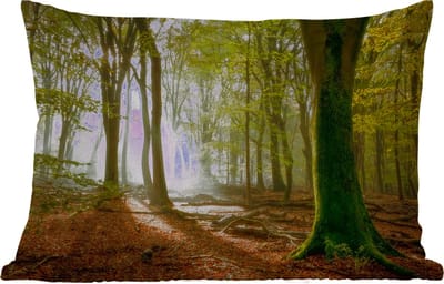 Buitenkussens - Tuin - Bos - Zon - Seizoenen - Landschap - 50x30 cm