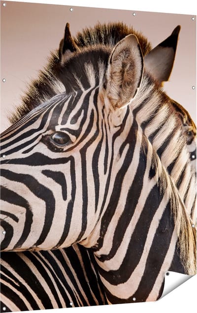 Gards Tuinposter Twee Knuffelende Zebra's - 120x160 cm - Tuindoek - Tuindecoratie - Wanddecoratie buiten - Tuinschilderij