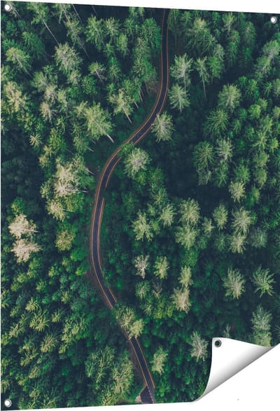 Gards Tuinposter Weg Door Bos met Bomen - Bovenaanzicht - 80x100 cm - Tuindoek - Tuindecoratie - Wanddecoratie buiten - Tuinschilderij
