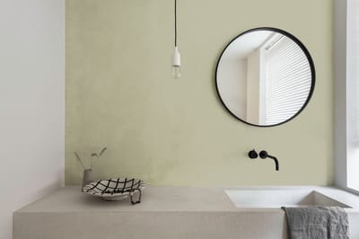Levis - Expert Muur Binnen Mix - Shady Green A40 - Mengverf - 10 L