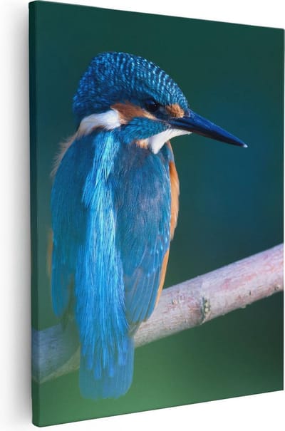 Artaza Canvas Schilderij IJsvogel - 80x100 cm - Groot - Wanddecoratie Vogels - Muurdecoratie Dieren - Schilderijen Op Canvas