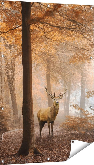 Gards Tuinposter Hert in het Bos - Herfst - 80x120 cm - Tuindoek - Tuindecoratie - Wanddecoratie buiten - Tuinschilderij