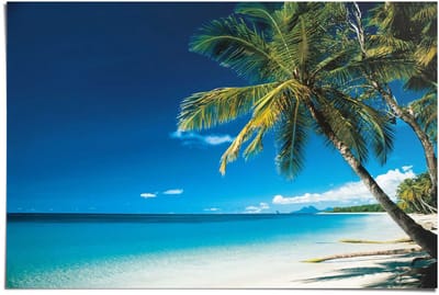 Poster Beach - morning - 61 x 91,5 - Papier - REINDERS
