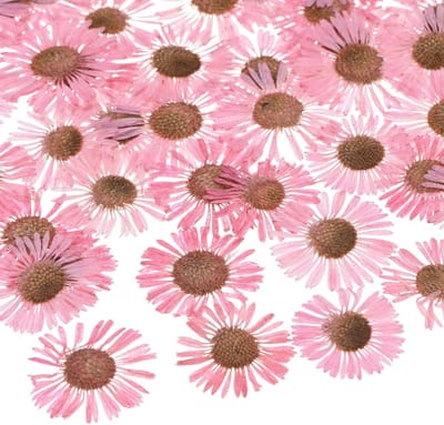 12 Stuks Gedroogde Persbloemen voor Hars, Natuurlijke Bloemen voor Ambachten, Kaarsen en Scrapbooking