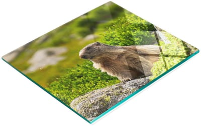 Stijlvol en duurzaam glazen bord met Tatra Marmot-print, 60x52 cm