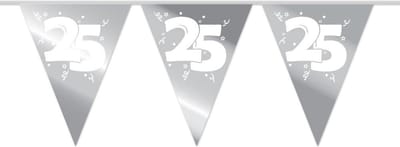Slingers 25 Zilver 10m