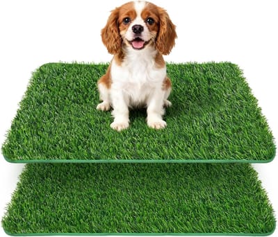 Huisdier Toilet voor Binnen met Kunstgras - 2 Stuks 58.5 x 46 cm voor Puppy Training, Balkon en Hondenopvang