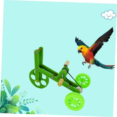 Papegaai Trainingsfiets - Vogel Speelgoed - Vogels Trainen - Vrolijk Kleurontwerp - 17 cm - Groen