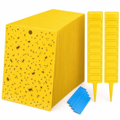 BOTC Vliegenvangers - 50-delig Rouwvliegjes Bestrijden - Fruitvliegjes Vanger - Fruitvlieg - 20*15CM