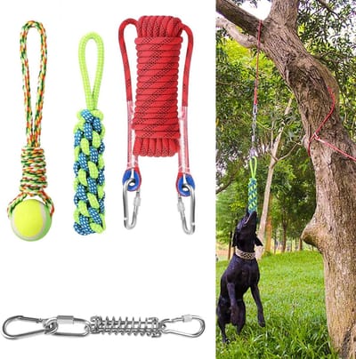 Hondenspeelgoed Touw - Veerpaal Trekker - Buiten Spelen - Sterke Veer & Touw - 33ft Touw - Rood Groen