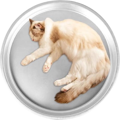 Verkoelend Kattenbed - Hondenkoelmat - Zomerse Rust - Touch Activated Cooling - 40 Cm - Zilver