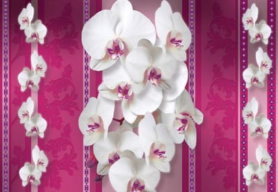 Fotobehang Flowers Floral Orchids Pattern | XL - 208cm x 146cm | 130g/m2 Vlies