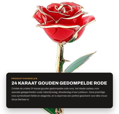 Dailygoods- Gedompelde Roos 24 Karaat Goud - Perfect Cadeau voor Valentijnsdag - Moederdag - Jubileum - Verjaardag - Elegantie en Genegenheid