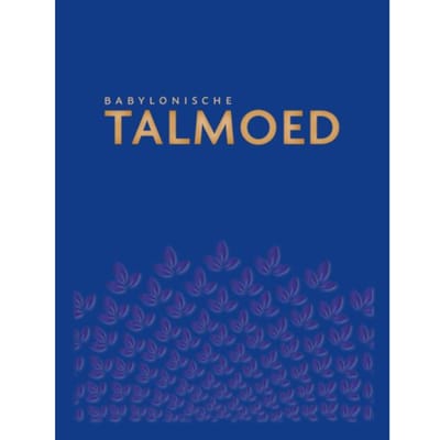 Babylonische Talmoed Sanhedrien 1 En 2 - Jacob de Leeuwe