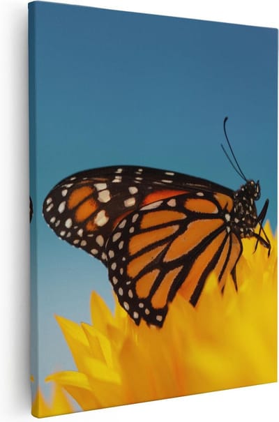 Artaza Canvas Schilderij Monarchvlinder - 40x50 cm - Wanddecoratie Bloem - Schilderijen Op Canvas Natuur - Geel