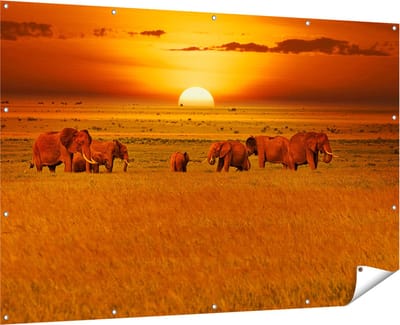 Gards Tuinposter Olifanten in het Wild - Zonsondergang - 180x120 cm - Tuindoek - Tuindecoratie - Wanddecoratie buiten - Tuinschilderij