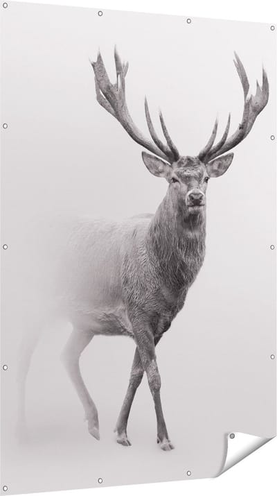 Gards Tuinposter Hert - Zwart Wit - 120x180 cm - Tuindoek - Tuindecoratie - Wanddecoratie buiten - Tuinschilderij