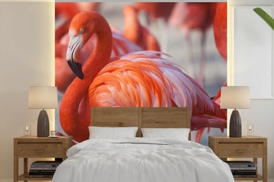 Behang - Fotobehang Flamingo - Vogel - Dieren - Roze - Breedte 350 cm x hoogte 350 cm