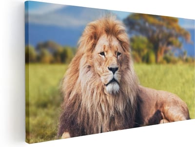 Artaza Canvas Schilderij Leeuw - 40x20 cm - Klein - Wanddecoratie Dieren - Muurdecoratie Savanne - Schilderijen Op Canvas