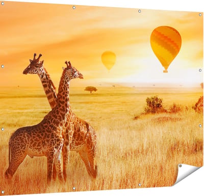 Gards Tuinposter Twee Giraffen met Twee Oranje Luchtballonnen - 150x120 cm - Tuindoek - Tuindecoratie - Wanddecoratie buiten - Tuinschilderij