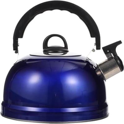 Fluitketel Roestvrijstaal - Theepot Kookplaat - Water Koken - Koel Handvat - 3 Liter - Blauw