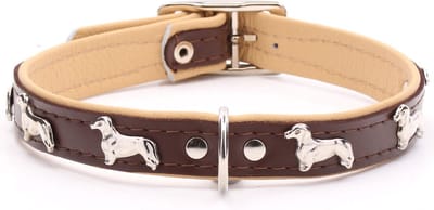Dog's Companion Leren Halsband - Teckel - Lengte: 35 cm Verstelbaar van 28-34 cm x 16 mm - Bruin/Naturel