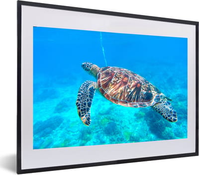 Fotolijst incl. Poster - Schildpad - Zee - Blauw - 60x40 cm - Posterlijst