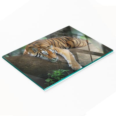 Stijlvol en duurzaam glazen bord met print van een tijger in een boom, 80x52 cm