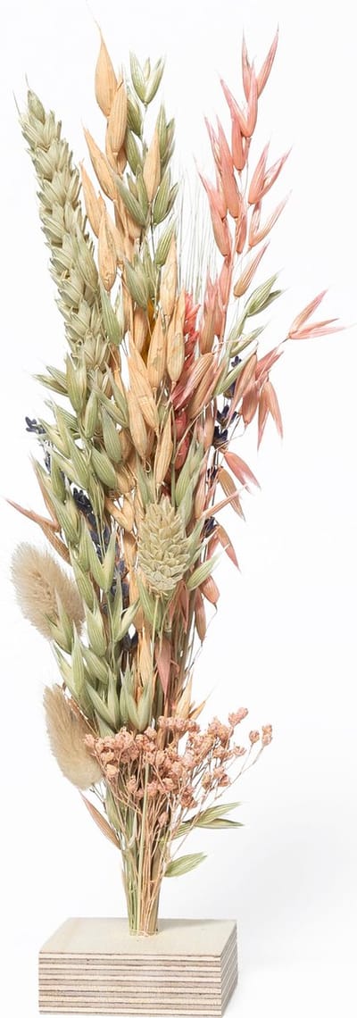 Lottea Droogbloemboeketje Feestvreugde - droogbloemen, droogbloemen boeket, droogbloemen klein, verjaardagscadeau, cadeau verjaardag