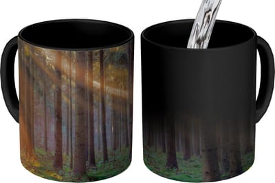 Magische Mok - Foto op Warmte Mokken - Koffiemok - Bomen - Bos - Zon - Planten - Magic Mok - Beker - 350 ML - Theemok