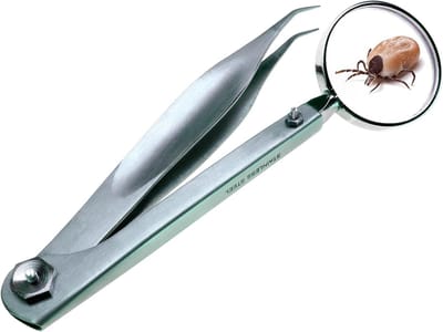 Precisie Pincet - Nauwkeurigheid Tool - Gedetailleerd Werk - Geïntegreerde Vergrootglas - Zilverkleurig