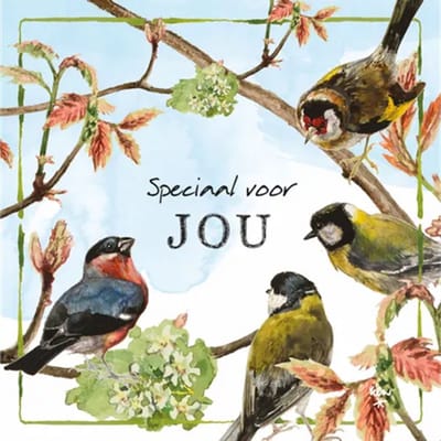 Rien Poortvliet Wenskaart Speciaal voor JOU – Tuinvogels – 13,5 x 13,5 cm