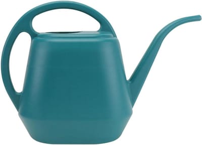 Tuin Gieter - Waterkruik Planten - Planten Water Geven - Lange Smalle Tuit - 2 Liter Inhoud - Groen