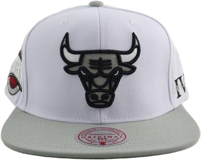 NBA Chicago Bulls Snapback Cap Core IV Wit Grijs Maat One Size