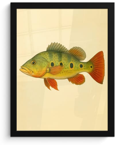 Poster in lijst - Fotolijst 30x40 cm - Posters - Schubben - Vis - Groen - Illustratie - Posterlijst zwart - Decoratie - Wanddecoratie woonkamer - Muurdecoratie slaapkamer