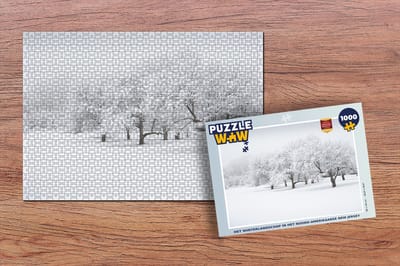 Puzzel Het winterlandschap in het Noord-Amerikaanse New Jersey - Legpuzzel - Puzzel 1000 stukjes volwassenen