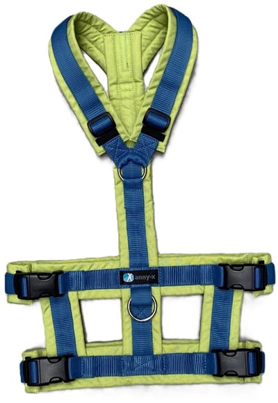 Annyx Hondentuig Safety– Limited Edition-Vergeet-mij-nietje-geel blauw- maat XS