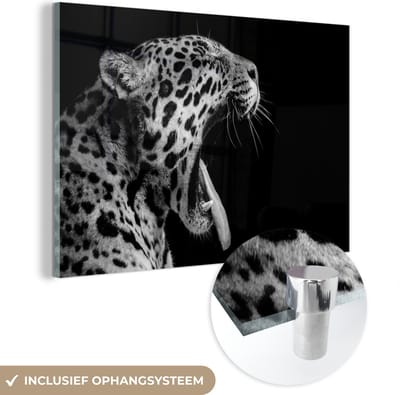 MuchoWow® Glasschilderij 120x80 cm - Schilderij acrylglas - Jaguar - Dier - Zwart - Wit - Foto op glas - Schilderijen